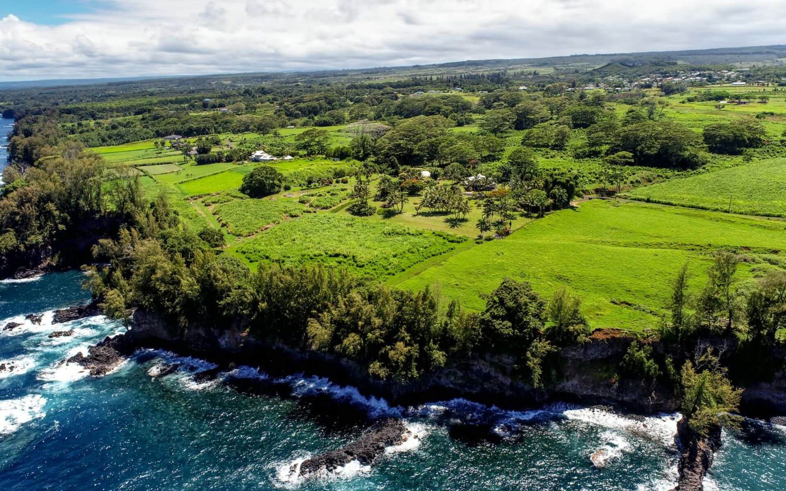 Hamakua Big Island Real Estate