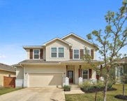 208 Blue Hibiscus Drive, Liberty Hill image