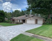 18234 Clear Lake Drive, Lutz image