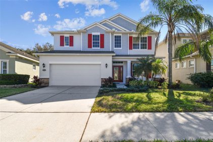 7960 Camden Woods Drive, Tampa