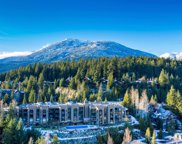 3217 Blueberry Drive Unit 303, Whistler image
