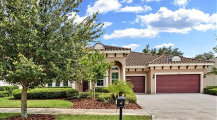 6325 Knob Tree Drive, Lithia