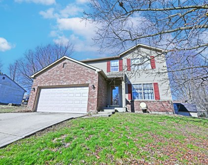 768 Cheeseman Avenue, Danville