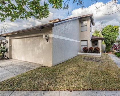 14505 Clifty Court, Tampa