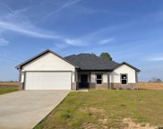 12928 County Road 46, Tyler image