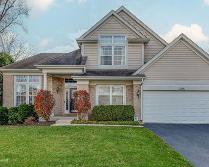 1305 Shefield Avenue, Mundelein