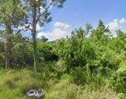 11321 Palmerston Avenue, Punta Gorda image