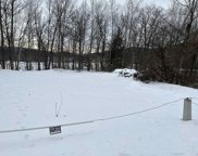 1055 Youngs Road, Springfield image