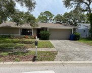 198 Arbor Drive E, Palm Harbor image