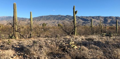 1974 N Wentworth, Tucson