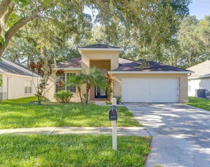 4638 Dunnie Drive, Tampa