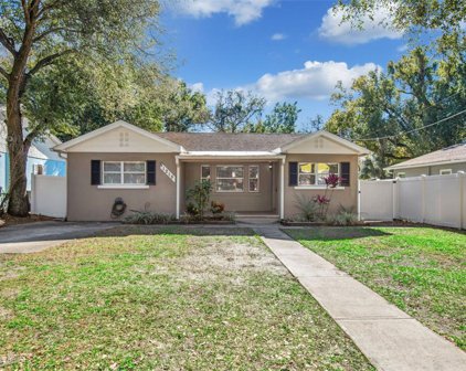 1215 E Emma Street, Tampa