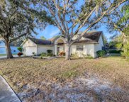 12204 Shady Forest Drive, Riverview image