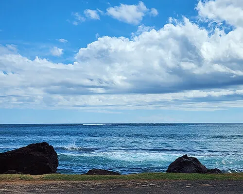 Hanalei Real Estate