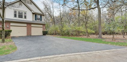 31 Samuel Drive Unit #17-6, Streamwood