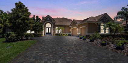1817 Bella Casa Court, Tampa