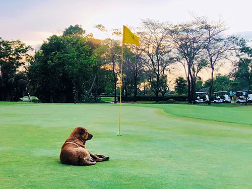 Golf Communities