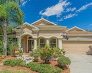 10730 Ribbon Fern Way, Land O' Lakes image