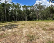 656 Miller Farms Court, Sanford image