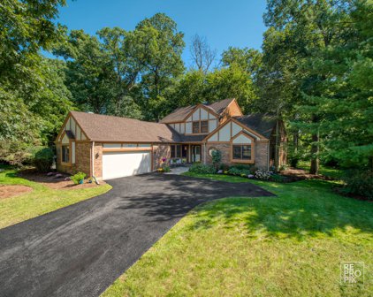 717 Chestnut Court, Bartlett