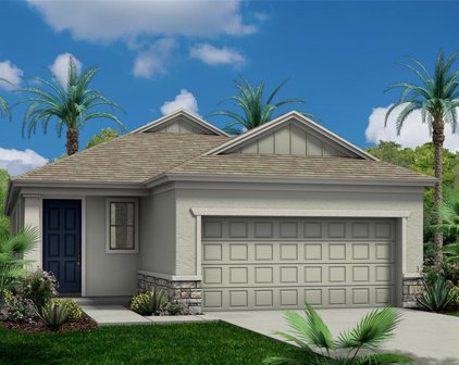 260 Sand Crane Way, Tarpon Springs