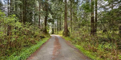 27831 110 Avenue, Maple Ridge