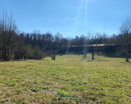 72 Wash Rider, Dahlonega