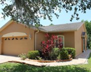 591 Vineyard Way, Poinciana image