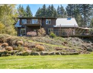 42 E VIEWPOINT RD, Stevenson image