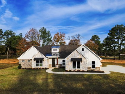 20963 Patriot Circle, Tyler