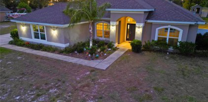 1329 Finland Drive, Spring Hill
