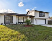 16608 Foothill Drive, Tampa image