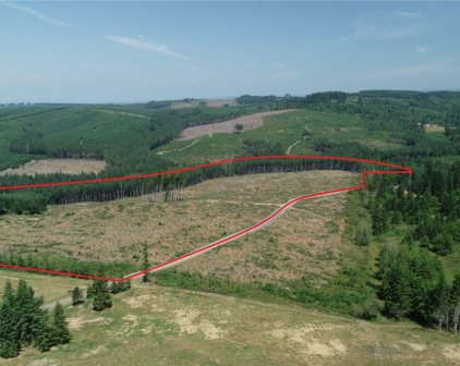 1068 Salmon Creek Rd, Mossyrock