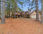 656 GREEN MEADOW TRAIL, Holly Lake Ranch image