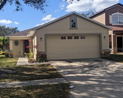 12545 Evington Point Drive, Riverview