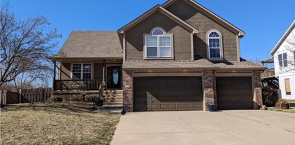 932 Hedge Apple Place, Raymore