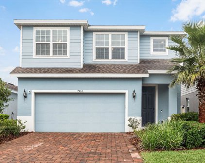 17405 Painted Leaf Way, Clermont