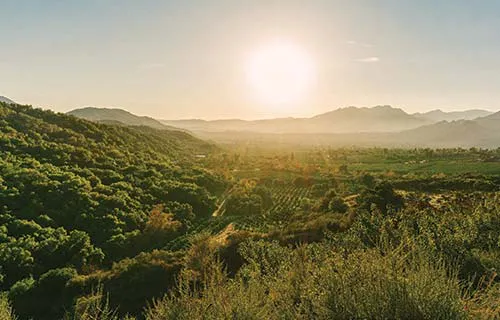ojai ca neighborhoods
