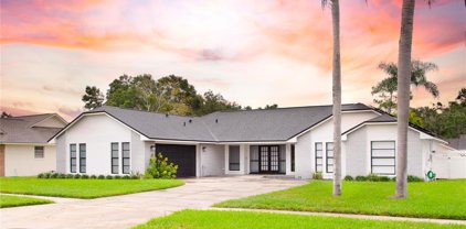 5525 Sago Palm Drive, Orlando