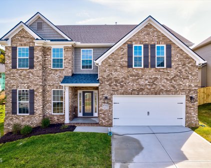 9704 Walking Stick Drive, Knoxville