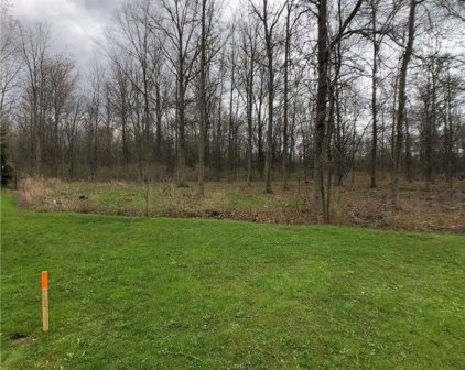 4077 Calkins  Road, Lewiston-292489