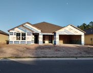 3115 Cold Leaf Way, Green Cove Springs image