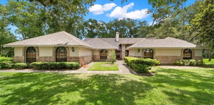17517 Mallard Court, Lutz