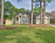5443 Fern Park Drive, Kingwood image