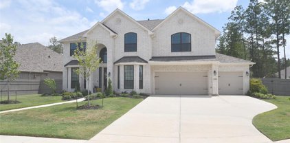 17369 Camillia Trail, Conroe