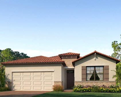 137 Villoresi Boulevard, Osprey/Nokomis