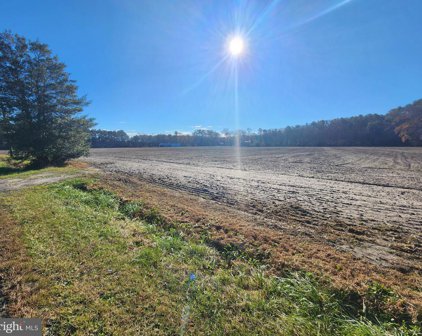 Lot #1 Pepperbox, Laurel