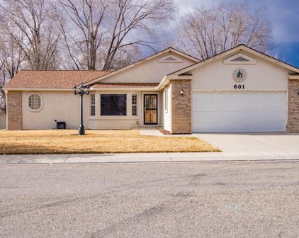 601 Shadowbrook Drive, Grand Junction