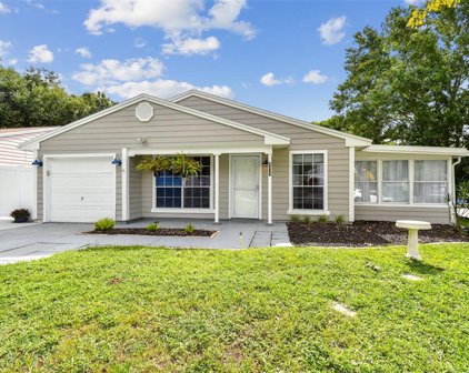 3837 Green Dolphin Drive, Palm Harbor