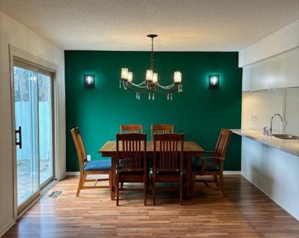 1766 Flamingo Drive, Eagan